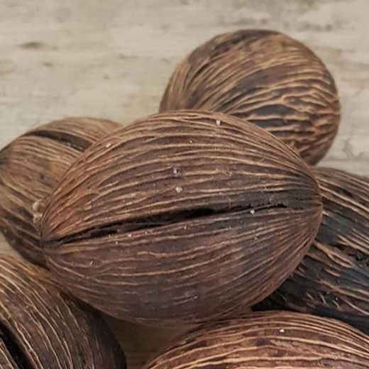 Mintola Cocos Marró