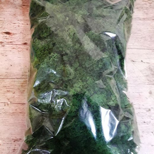 Musgo Natural Nórdico