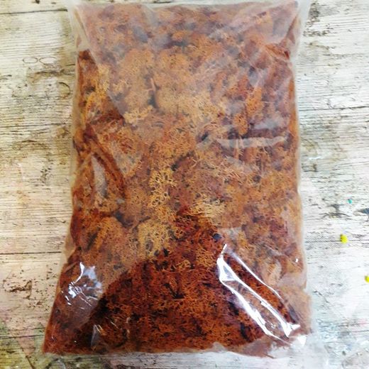 Musgo Natural Nórdico