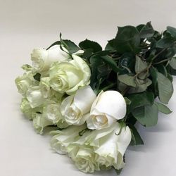 Flores de temporada