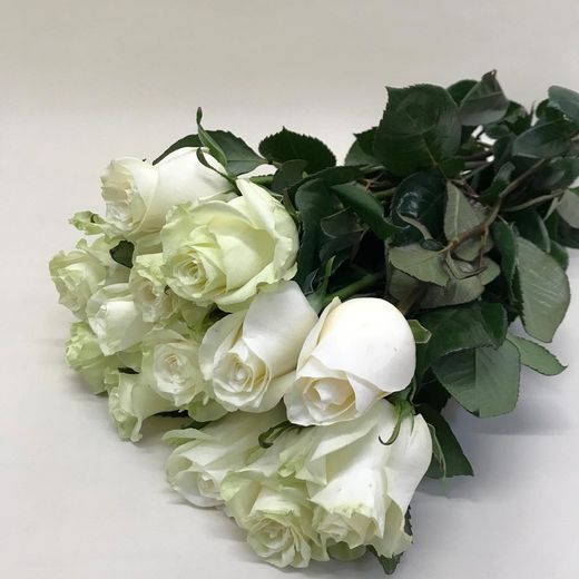 Flores de temporada