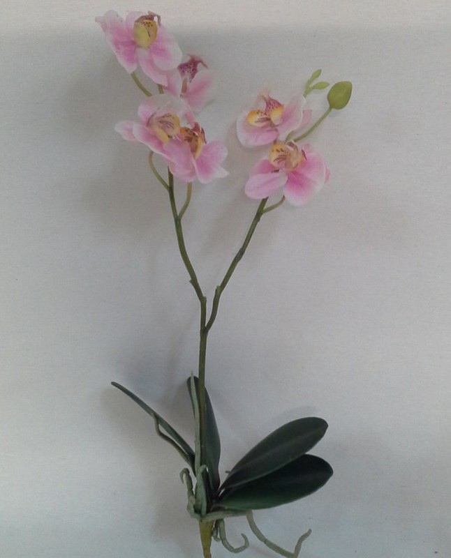 Orquidea Phalaenopsis Artificial — Floresfrescasonline