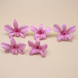 Orquideas Dendrobium Preservadas 5 uds.