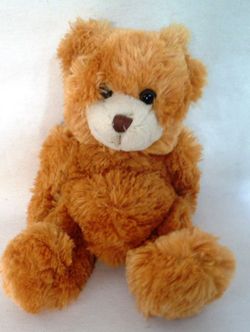 Ositos de Peluche