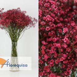 Pack 4 Arranjos naturais para automóveis