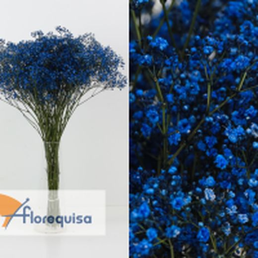 Pack 4 Arranjos naturais para automóveis