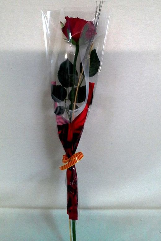 Pack 5 Rosas Sant Jordi