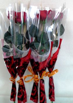 Pack 5 Rosas Sant Jordi