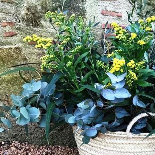 Pack D.I.Y. Cesta Mediterranea Amarilla