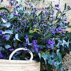 Pack D.I.Y. Cesta Mediterranea Lila