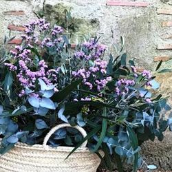 Pack D.I.Y. Cesta Mediterranea Rosa