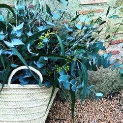 Pack D.I.Y. Cesta Provenzal