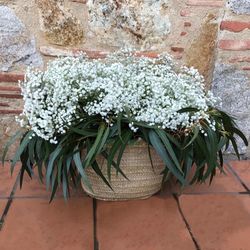 Pack D.I.Y. Cesta Pureza Blanca