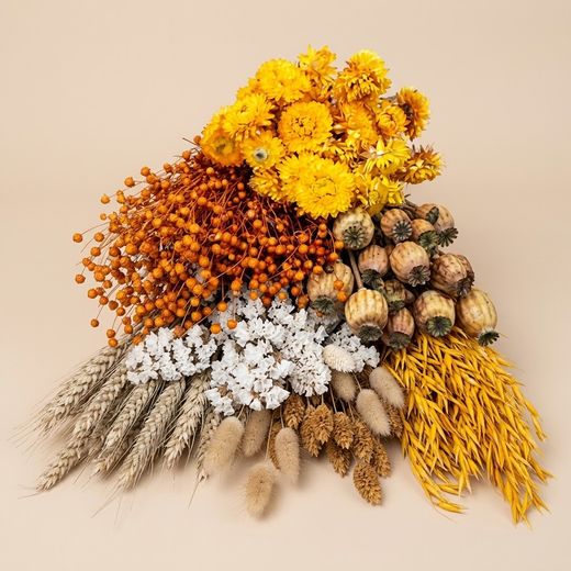 Paquet de fleurs séchées jaunes