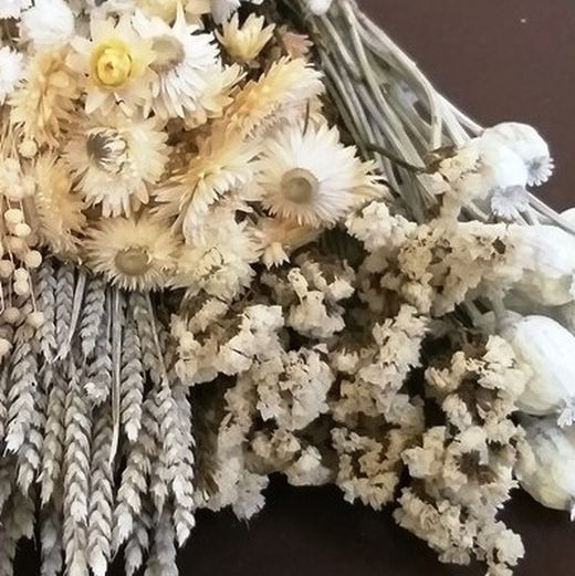 Pack Flors Seques Blanques