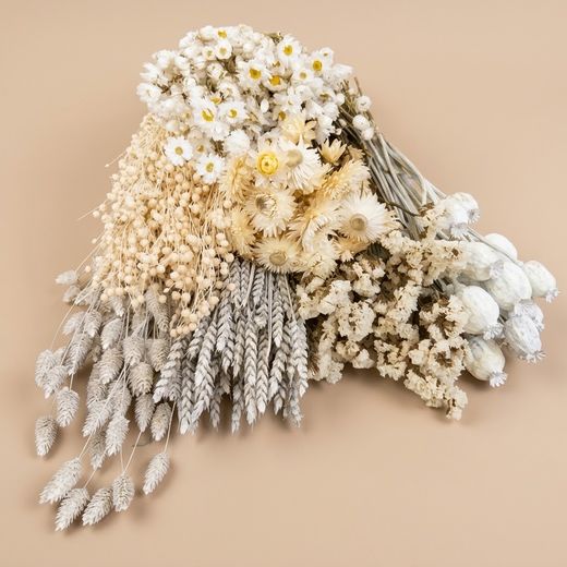 Paquet de fleurs séchées blanches