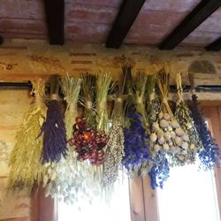 Pack Flors Seques Campestres G