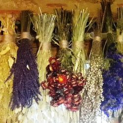 Pack Flors Seques Campestres G
