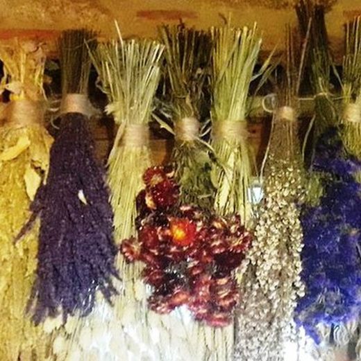 Pack Flors Seques Campestres G