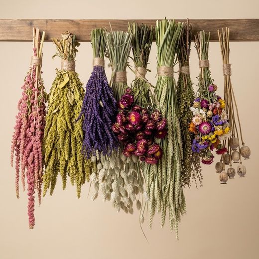 Paquet de fleurs de campagne séchées G