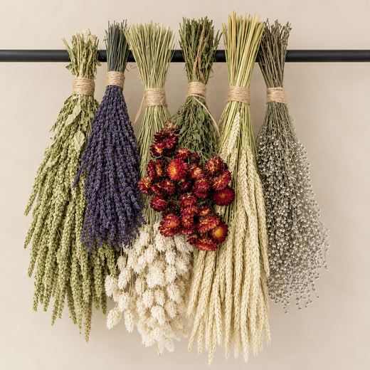 Paquet de fleurs de campagne séchées P