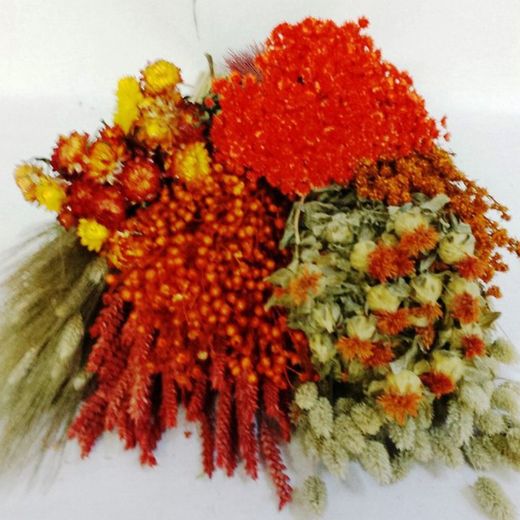 Pack Flores Secas Naranja