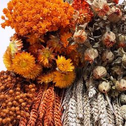 Pack Flors Seques Taronja
