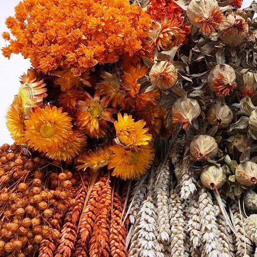 Pack Flors Seques Taronja
