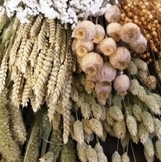 Pack Flores Secas Natural