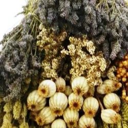 Pack Flores Secas Natural Lavanda