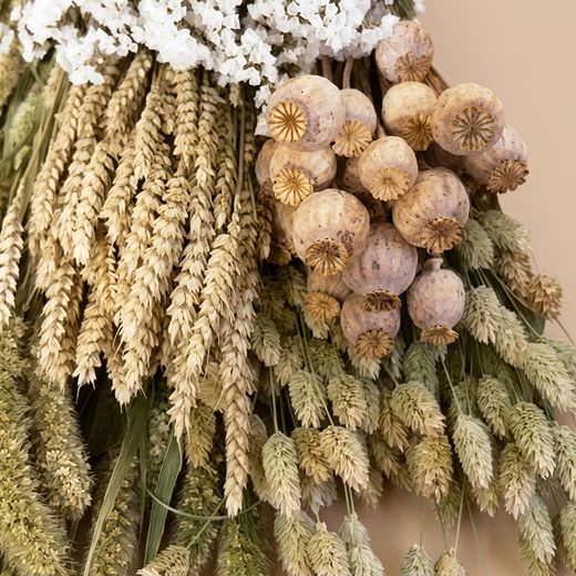 Pack Flores Secas Natural