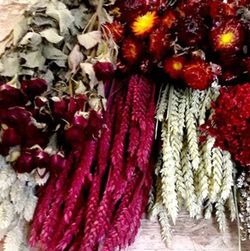 Pack Flores Secas Rojo