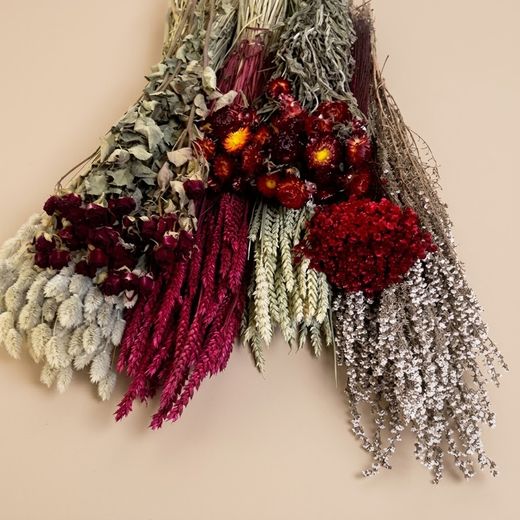 Pack de fleurs séchées rouges