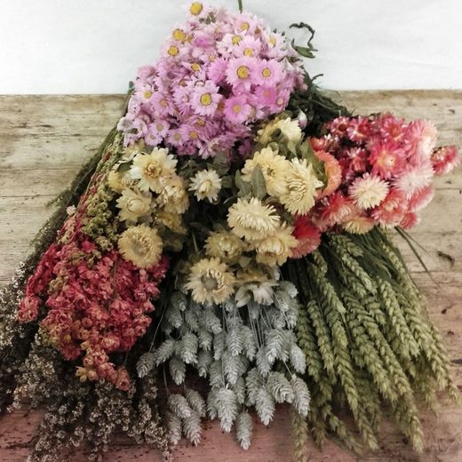Pack Flores Secas Rosa
