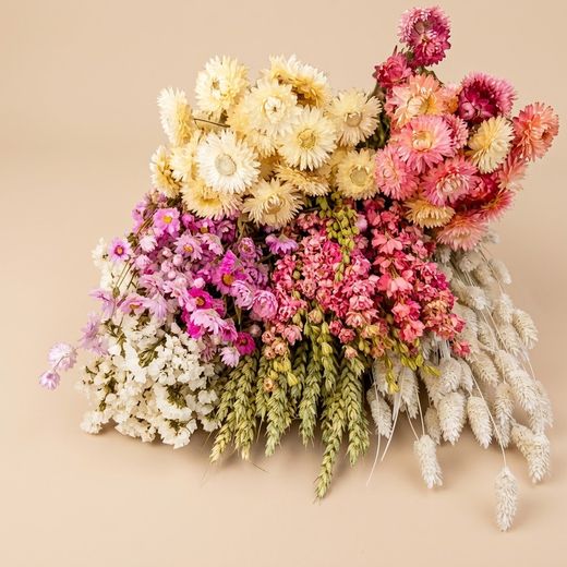Pack de fleurs séchées Rose