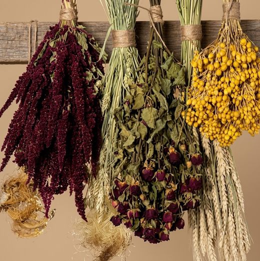 Pack de fleurs sauvages séchées P