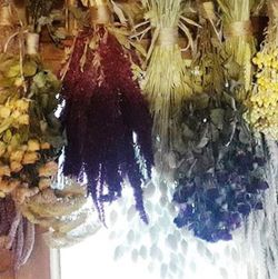 Pack Flores Secas Silvestres G