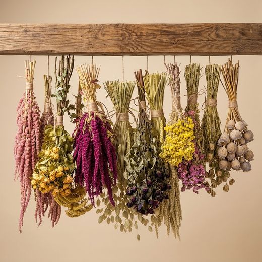 Pack de fleurs sauvages séchées G