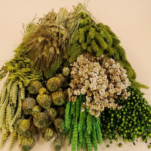 Pack de fleurs séchées vertes