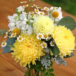 Pack Flores Verbena San Juan