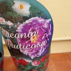 Paeonias