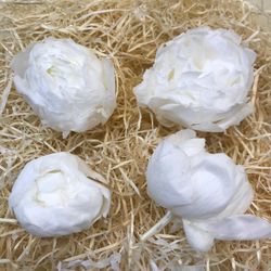 Paeonias Preservadas Grandes Caja 4 uds.
