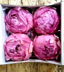 Grandes Pivoines Conservées Boîte de 4 unités.