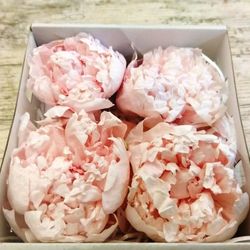 Paeonias Preservadas Grandes Caja 4 uds.
