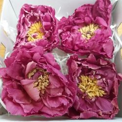 Paeonias Preservadas Grandes Caja 4 uds.