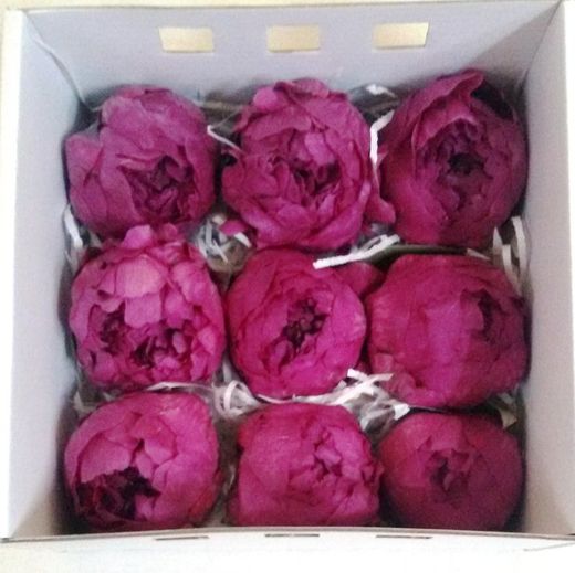 Pivoines Conservées Moyennes Boîte de 4 unités.