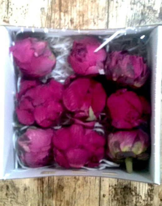 Pivoines Conservées Moyennes Boîte de 4 unités.