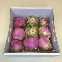 Pivoines Conservées Moyennes Boîte de 4 unités.
