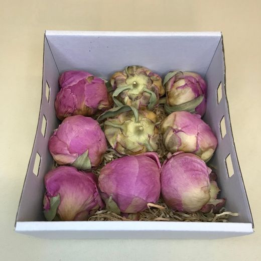 Pivoines Conservées Moyennes Boîte de 4 unités.