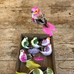 Petits Oiseaux Pack de 6 unités.